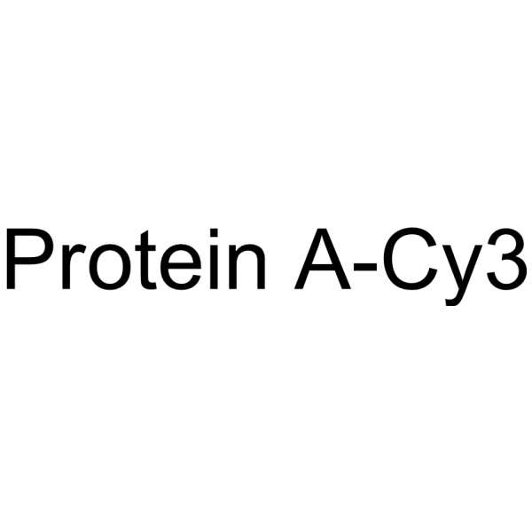 Protein A-Cy3